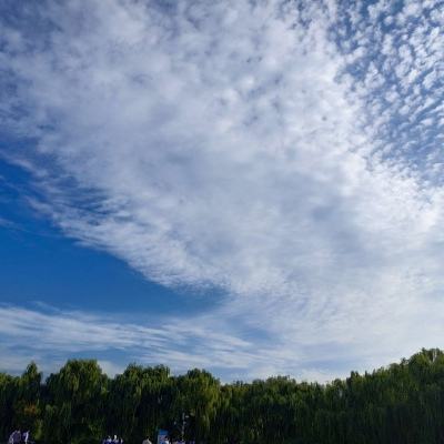 姚洋：AI泡沫破裂是迟早的事，我们要更多关注短期问题