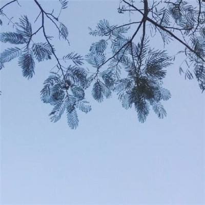 以色列国防军称，袭击了伊朗一处用于研发潜艇的海军设施。